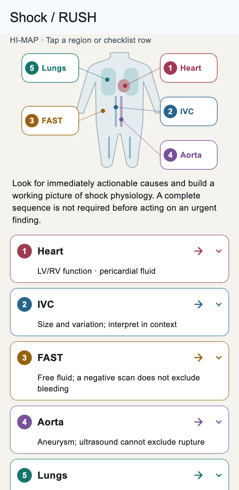 Shock / RUSH clinical pathway displayed in an Android phone frame